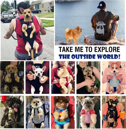 Zaino Per Animali Domestici Traspirante Cani Regolabile Portatile Rete Tg.m Nero Prodotti per animali > Prodotti per Cani > Trasportini Trade Shop italia - Napoli, Commerciovirtuoso.it