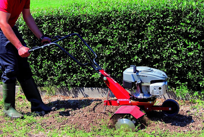 ZAPPATRICE MOTOZAPPA CON MOTORE 4 TEMPI 3KW 139CC EINHELL GC-MT 3060 LD Fai da te/Attrezzi elettrici da giardinaggio/Utensili elettrici da giardino/Motozappe Trade Shop italia - Napoli, Commerciovirtuoso.it