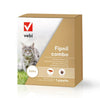 gatto