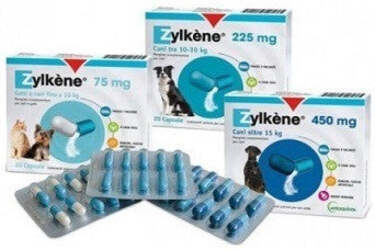 Zylkene cani gatti 20cps 75mg