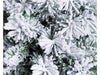 Albero di natale Jackie Slim innevato in PVC e Flock Bianco per dimensioni ridotte Casa e cucina/Decorazioni per interni/Addobbi e decorazioni per ricorrenze/Decorazioni natalizie/Alberi di natale artificiali MagiediNatale.it - Altamura, Commerciovirtuoso.it