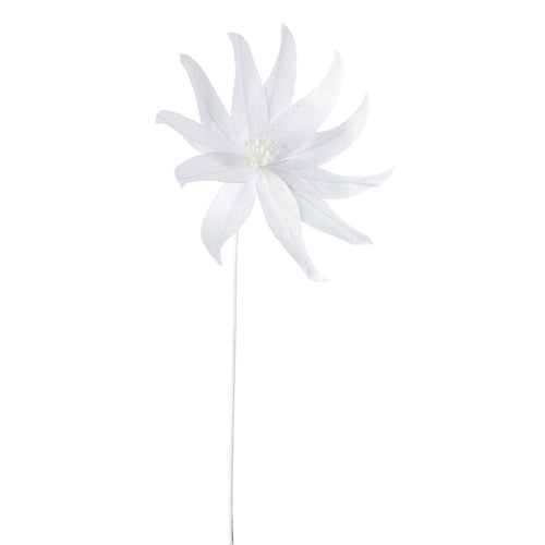 Ramo decorativo Aisha Poinsettia color Bianco Ø 29 x h 50 cm Casa e cucina/Decorazioni per interni/Addobbi e decorazioni per ricorrenze/Decorazioni natalizie/Ghirlande e corone MagiediNatale.it - Altamura, Commerciovirtuoso.it