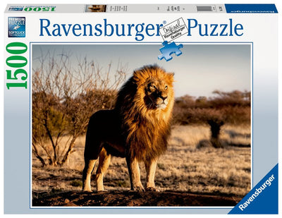 Puzzle 1500 pz Il leone, re degli animali Ravensburger