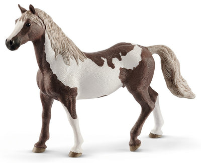 CASTRONE PAINT HORSE (serie Horse Club Cavalli - price grey) Schleich