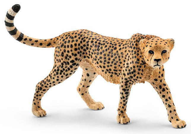 FEMMINA DI GHEPARDO (serie Wild Life Animali Selvaggi - price yellow) Schleich