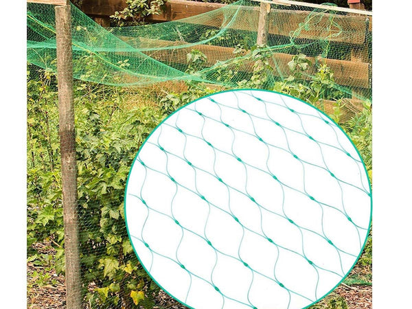 Rete Anti Uccelli 2X10m Rete da Giardino Verde Proteggere Piante Frutta Fiori Alberi A2Zworld