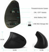 Mouse Verticale Wireless Jelly Comb Nero 2,4 Ghz per Pc Desktop Mac Senza Filo Elettronica/Informatica/Accessori/Tastiere Mouse e periferiche di input/Mouse TRM Company - Polistena, Commerciovirtuoso.it
