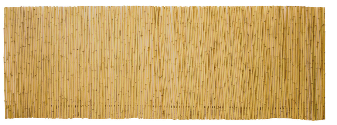 Arelle Bambu’ medio Preda