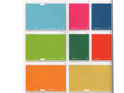 Maxi quaderno cartonato pigna colours Rig.5M cf.3