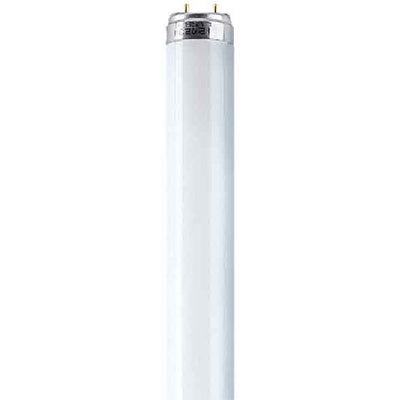 Osram Lumilux T8 G13 L 18 W/840 Lampada fluorescente