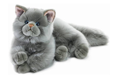 Gatto Leonard sdraiato persiano grigio