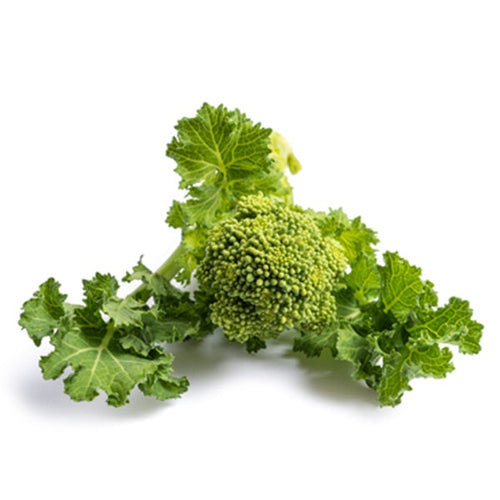 Semi di cima di Rapa Aprilatica cima grossa piante per orto e giardino Giardino e giardinaggio/Piante semi e bulbi/Piante da esterno/Vegetali La Zappa - Altamura, Commerciovirtuoso.it