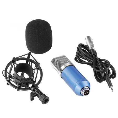 Microfono A Condensatore Per Studio Radiotelevisivo & Registrazione  Jimdl-700 - commercioVirtuoso.it