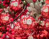 Palline per albero di Natale in vetro decorate con Scritta Ho Ho Ho da 8 cm, confezione 6 pezzi Casa e cucina/Decorazioni per interni/Addobbi e decorazioni per ricorrenze/Decorazioni natalizie/Addobbi e decorazioni/Palle e palline MagiediNatale.it - Altamura, Commerciovirtuoso.it