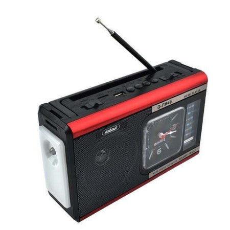 Radio Portatile A Batteria Usb Sveglia Q-fm40 Altoparlante Bluetooth Con  Torcia - commercioVirtuoso.it