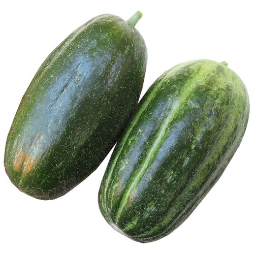 Semi di carosello Spuredda leccese verde piante per orto e giardino Giardino e giardinaggio/Piante semi e bulbi/Piante da esterno/Vegetali La Zappa - Altamura, Commerciovirtuoso.it
