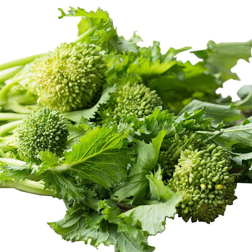 Semi di cima di Rapa Noce piante per orto e giardino Giardino e giardinaggio/Piante semi e bulbi/Piante da esterno/Vegetali La Zappa - Altamura, Commerciovirtuoso.it