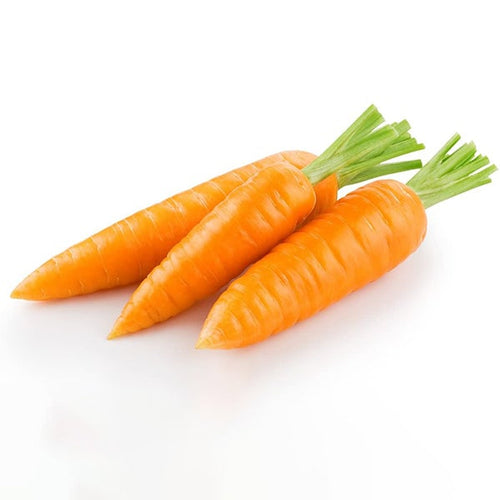 Semi Di Carota chantenay Royal 2  Piante per Orto E Giardino Giardino e giardinaggio/Piante semi e bulbi/Piante da esterno/Vegetali La Zappa - Altamura, Commerciovirtuoso.it