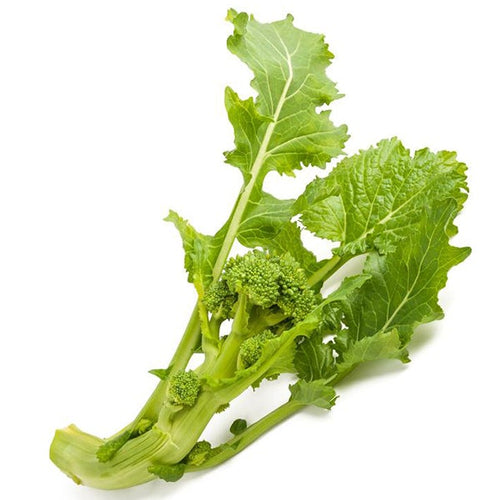 Semi di cima di Rapa Cinquantina cima grossa piante per orto e giardino Giardino e giardinaggio/Piante semi e bulbi/Piante da esterno/Vegetali La Zappa - Altamura, Commerciovirtuoso.it