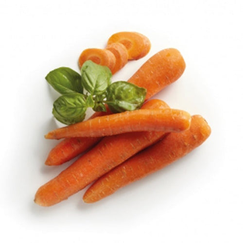 Semi Di Carota berlicum 2  Piante per Orto E Giardino Giardino e giardinaggio/Piante semi e bulbi/Piante da esterno/Vegetali La Zappa - Altamura, Commerciovirtuoso.it