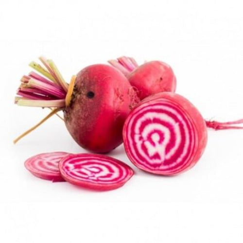 Semi Di Bietola tonda Di Chioggia Piante per Orto E Giardino Giardino e giardinaggio/Piante semi e bulbi/Piante da esterno/Vegetali La Zappa - Altamura, Commerciovirtuoso.it