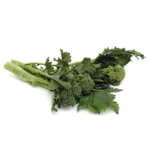 Semi di cima di Rapa Fasanese piante per orto e giardino Giardino e giardinaggio/Piante semi e bulbi/Piante da esterno/Vegetali La Zappa - Altamura, Commerciovirtuoso.it