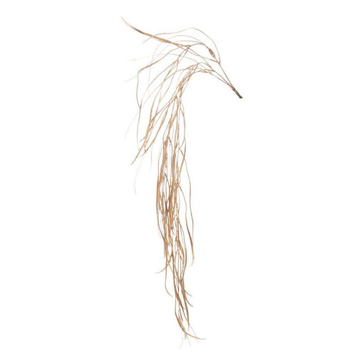 Rametto decorativo Stephany curvo color Oro per interni ed esterni h 85 cm Casa e cucina/Decorazioni per interni/Addobbi e decorazioni per ricorrenze/Decorazioni natalizie/Ghirlande e corone MagiediNatale.it - Altamura, Commerciovirtuoso.it