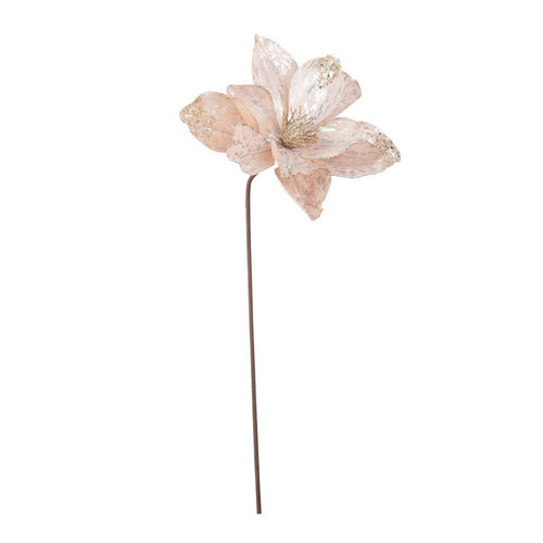 Rametto decorativo Crizia color Champagne per interni ed esterni h 50 cm Casa e cucina/Decorazioni per interni/Addobbi e decorazioni per ricorrenze/Decorazioni natalizie/Ghirlande e corone MagiediNatale.it - Altamura, Commerciovirtuoso.it