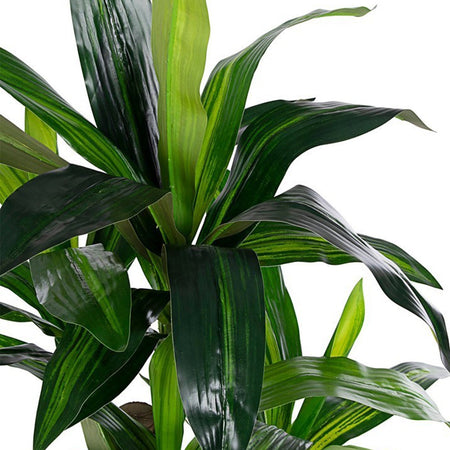 Pianta Artificiale Decorativa Da Interno Ed Esterno "dracanea" Con Vaso H 110 Casa e cucina/Decorazioni per interni/Piante e fiori artificiali/Piante artificiali Decor Space - Altamura, Commerciovirtuoso.it