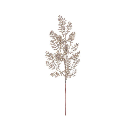 Rametto decorativo Katelyn color Champagne per interni ed esterni h 70 cm Casa e cucina/Decorazioni per interni/Addobbi e decorazioni per ricorrenze/Decorazioni natalizie/Ghirlande e corone MagiediNatale.it - Altamura, Commerciovirtuoso.it