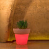 Vaso luminoso Gemma Bright rotondo con led lanterna decorazione Made in Italy per esterno Giardino e giardinaggio/Attrezzi da giardino e attrezzature per l'irrigazione/Vasi e accessori per piante/Vasi tradizionali Decor Space - Altamura, Commerciovirtuoso.it