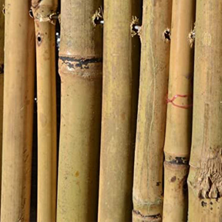Arella in canne di bamboo naturale Ø 16 mm, stuoia ombreggiante per recinzioni Giardino e giardinaggio/Decorazioni per il giardino/Recinzioni decorative La Zappa - Altamura, Commerciovirtuoso.it