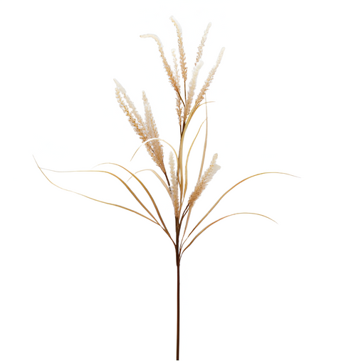 Ramo di Festuca color oro e champagne, decorazione natalizia da 130 cm Casa e cucina/Decorazioni per interni/Addobbi e decorazioni per ricorrenze/Decorazioni natalizie/Ghirlande e corone MagiediNatale.it - Altamura, Commerciovirtuoso.it