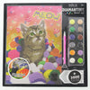 DIAMANTINY 96101 Level Up Diamond Painting Kit PETS - Meow Giochi e giocattoli/Attività creative/Kit per il fai da te/Kit di pittura Scontolo.net - Potenza, Commerciovirtuoso.it
