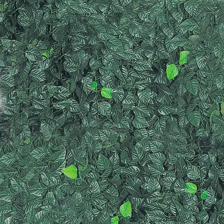 Siepe Artificiale Sintetica 1 x 3 metri Rotolo Anticaduta Rete foglie Edera
