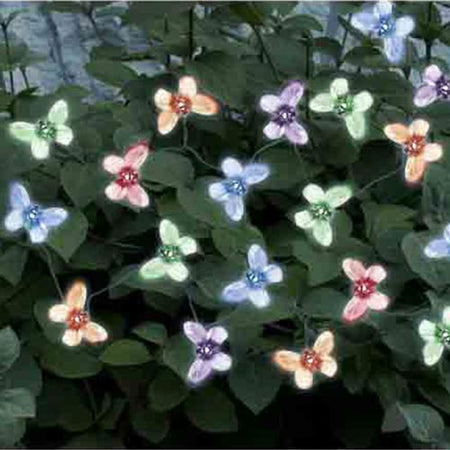 Ghirlanda di Luci Forma Farfalla 20 Pz Ricarica Energia Solare LED Multicolore