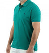 Polo da Uomo U.S.POLO ASSN. 41029 Verde Moda/Uomo/Abbigliamento/T-shirt polo e camicie/Polo Scontolo.net - Potenza, Commerciovirtuoso.it
