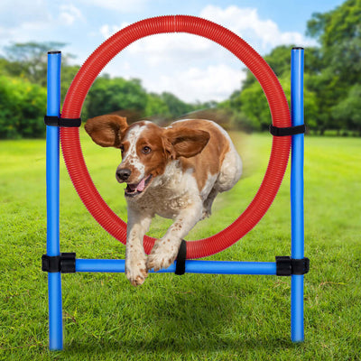 Anello di Salto per Cani Agility Dog Addestramento Cani Ostacoli con Borsa