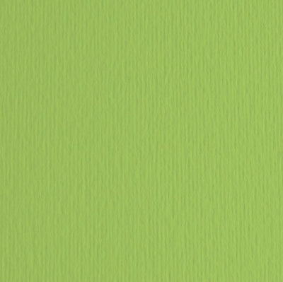 Cartoncino Elle Erre - 70x100cm - 220gr - verde pisello 110 - Fabriano - blister 10 fogli Casa e cucina/Hobby creativi/Carta e lavorazione della carta/Carta/Cartoncino colorato Eurocartuccia - Pavullo, Commerciovirtuoso.it