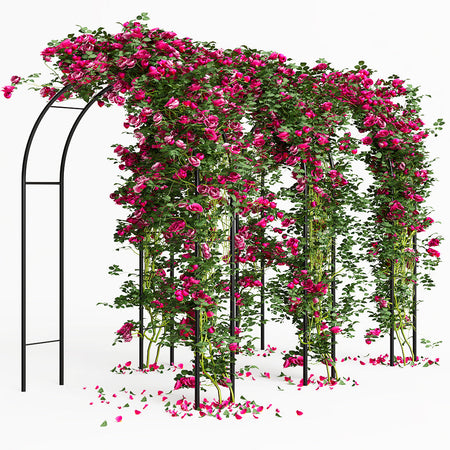 Arco da Giardino Supporto per Rose Piante Rampicanti in Metallo Altezza 240cm