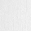 Cartoncino Elle Erre - 50x70cm - 220gr - bianco - Fabriano - blister 20 fogli Cancelleria e prodotti per ufficio/Carta blocchi e quaderni/Biglietti e cartoncini/Cartoncini Eurocartuccia - Pavullo, Commerciovirtuoso.it