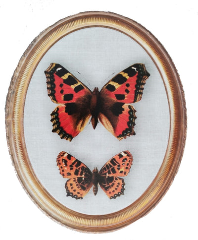 Quadro ovale con Farfalle 40x50 cm