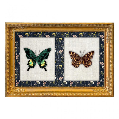 Quadro Rettangolare con farfalle 35x50 cm
