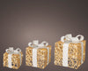 Set 3 pacchi regalo in resina luminoso color oro e bianco per uso interno ed esterno Casa e cucina/Decorazioni per interni/Addobbi e decorazioni per ricorrenze/Decorazioni natalizie/Luci natalizie/Catene luminose per esterni MagiediNatale.it - Altamura, Commerciovirtuoso.it
