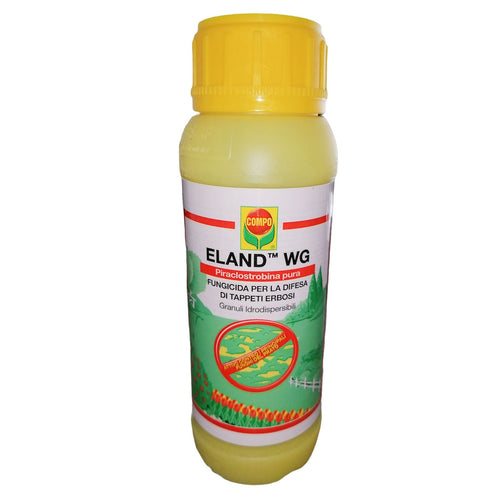 Fungicida di copertura per la difesa di tappeti erbosi Eland WG 250 gr in granuli Giardino e giardinaggio/Giardinaggio/Fertilizzanti e concimi/Fertilizzanti per il prato La Zappa - Altamura, Commerciovirtuoso.it