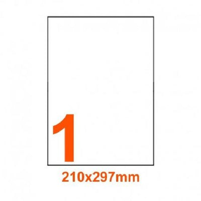 Etichette Autoadesive Carta Adesiva A4 210X297 100Pz (A4210297)