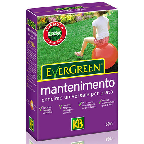 Concime per tappeti erbosi Evergreen mantenimento del prato e aiuole a lenta cessione Giardino e giardinaggio/Giardinaggio/Fertilizzanti e concimi/Fertilizzanti per piante erbacee La Zappa - Altamura, Commerciovirtuoso.it