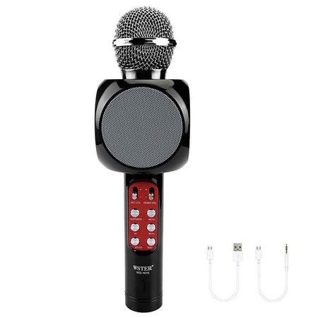 Microfono Portatile Wireless Con Bluetooth Karaoke Cassa Integrata