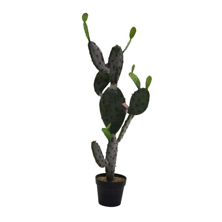 Pianta cactus c/vaso nero cm60x45h119 Vacchetti