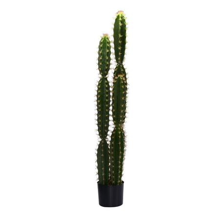 Pianta cactus con vaso tondo cmø18h124 Vacchetti